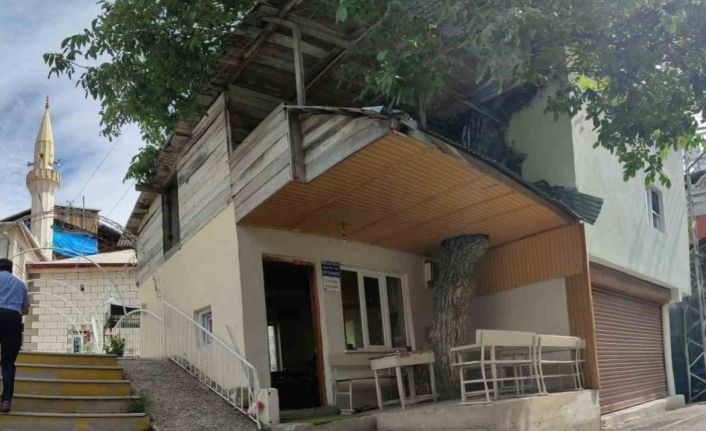 Ceviz ağacı kütüphanenin çatısının içinden yükseliyor, toplanan cevizler köyün ortak giderleri için satılıyor