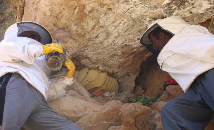 Cilo Dağı’nın 3 bin rakımında keşfettiği kaya balını 2 bin 500 TL’den satışa çıkarttı