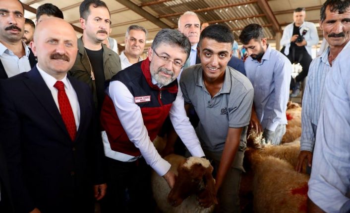 Depremden etkilenen illerde küçükbaş, kanatlı hayvan ve arılı kovan dağıtımları tamamlandı