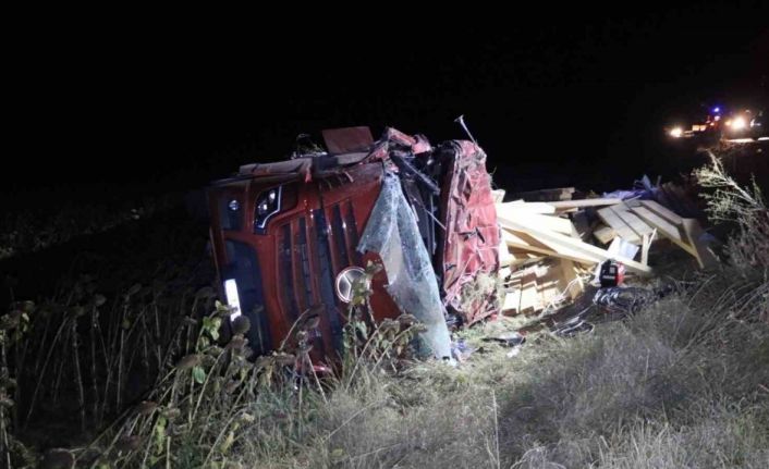 Devrilen kereste yüklü tırın sürücüsü hayatını kaybetti