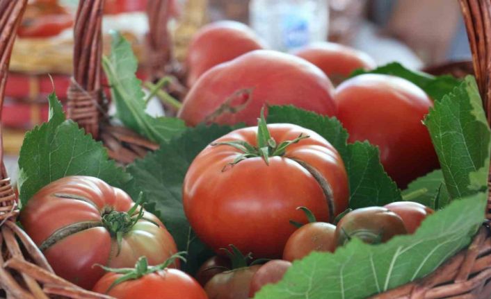 En lezzetli domatesi ve höşmerimi seçtiler