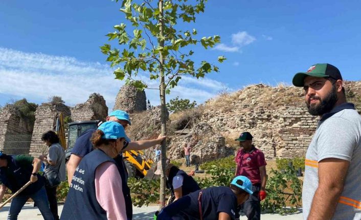 Fatih Belediyesi BM Gönüllüleri ile beraber ağaç dikme töreni düzenledi