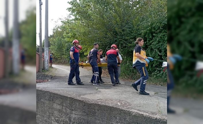 Fındık toplarken ağaçtan düşen kişi ayağını kırdı