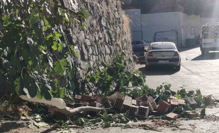 Kağıthane’de 13 yaşındaki kız incir toplarken canından oluyordu