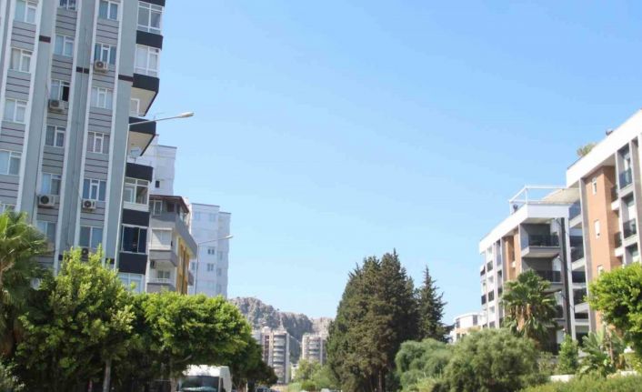 Kapılarına dayanan domuz sürüsü yüzünden siteye giremeyen mahalleli çözüm bekliyor