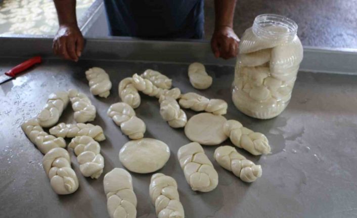 Kendi imkanlarıyla ürettikleri mandıra peynirini Türkiye’nin birçok noktasına gönderiyorlar