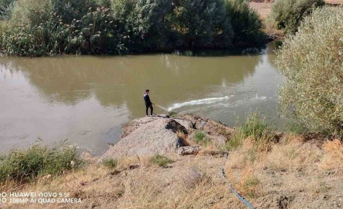 Kızılırmak’ta üvez sineği ile etkin mücadele devam ediyor