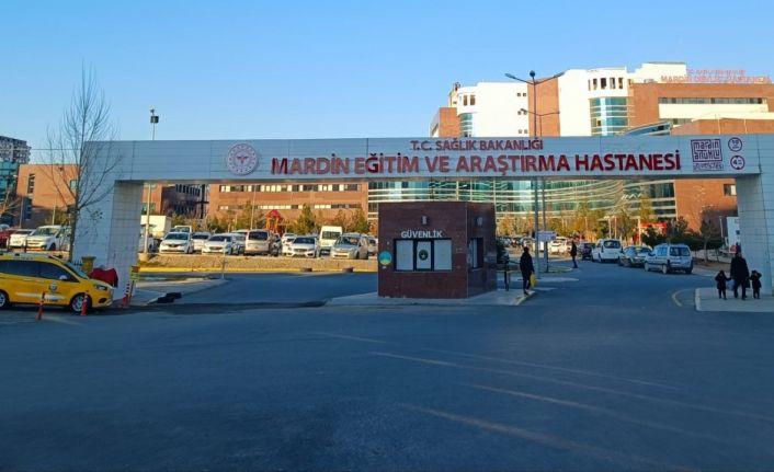 Mardin’de kardeş kavgasında ağabey öldü