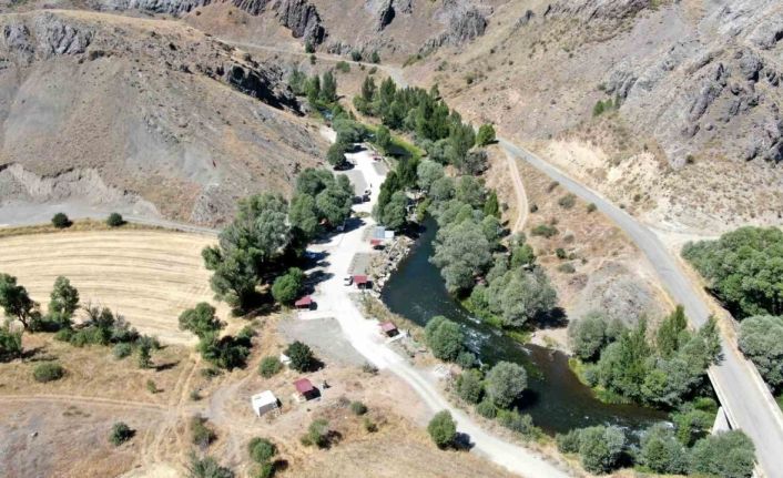 Muhtarın doğa sevgisi bozkırı vahaya dönüştürdü