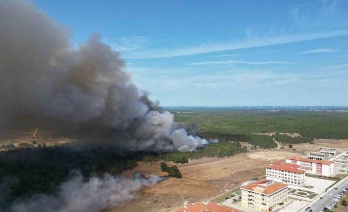 Orman yangını dron ile görüntülendi