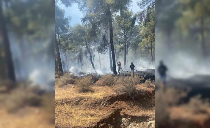 Ormanlık alandaki örtü yangını ekipler tarafından kontrol altına alındı