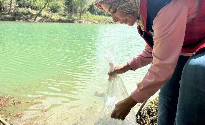 Osmaniye’de Tahta Barajı’na 20 bin pullu sazan yavrusu bırakıldı