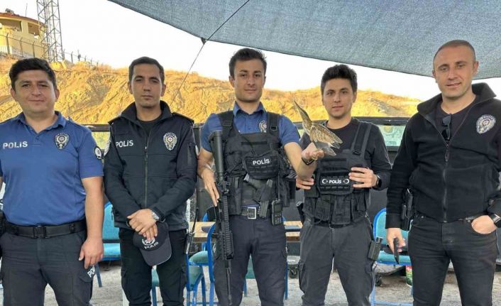 Polisten balaban kuşuna şefkat eli