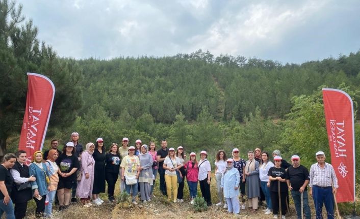 Sağlık çalışanları ağaçların da bakımını yaptı