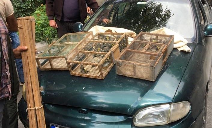 Saka kuşlarını avlayan 2 şahıs suç üstü yakalandı, 73 bin TL ceza kesildi