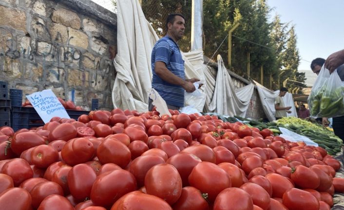 Salçalık domates ve biberler tezgahlarda