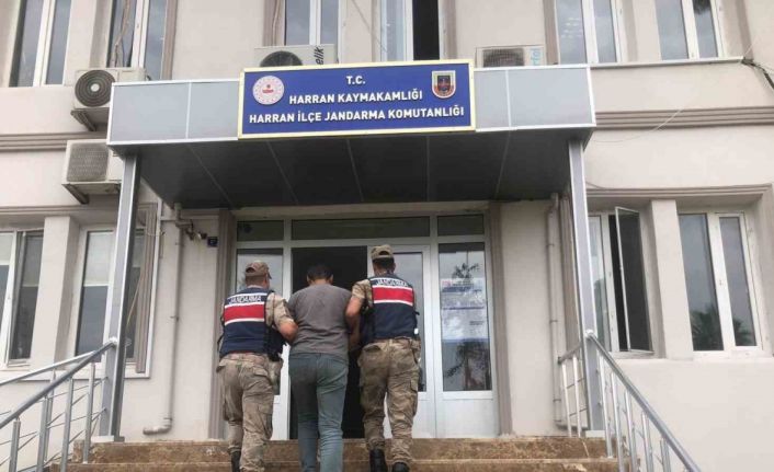 Şanlıurfa’da aranan FETÖ üyesi yakalandı