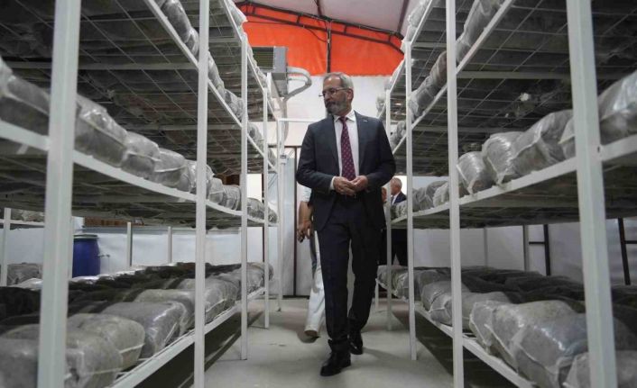 Tarsus’ta mantar üretim ile sebze ve meyve kurutma-paketleme tesisleri açıldı