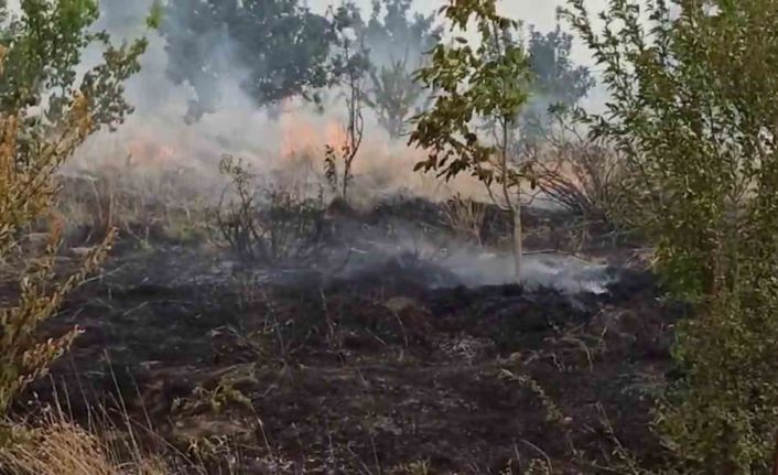 Tatvan’da örtü yangını