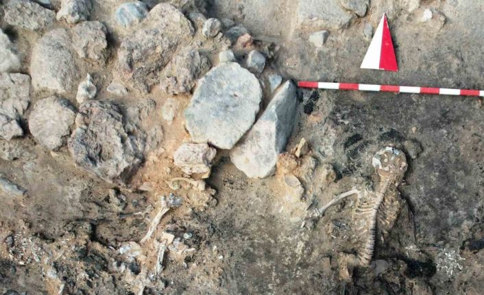 Tavşanlı Höyük kazılarında 3 bin 700 yıllık insan beyni ve deri kalıntıları çıktı