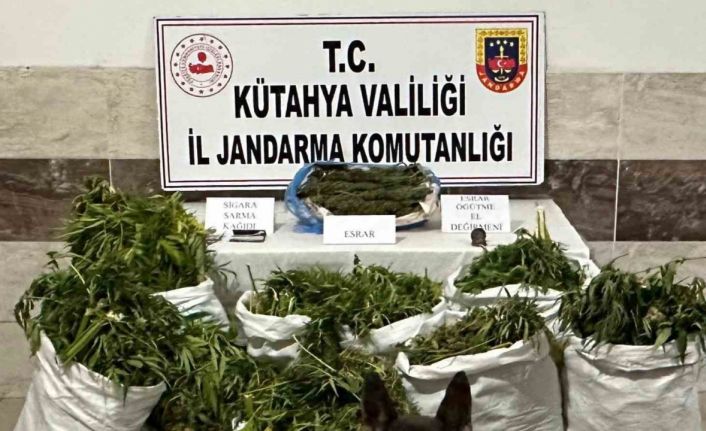 Tavşanlı’da evinde yüklü miktarda kubar esrar maddesi bulunan şüpheli tutukladı