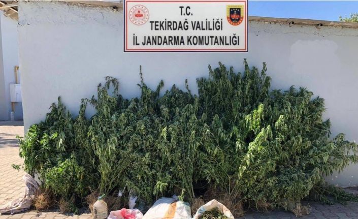 Tekirdağ’da 1 kişi uyuşturucudan tutuklandı