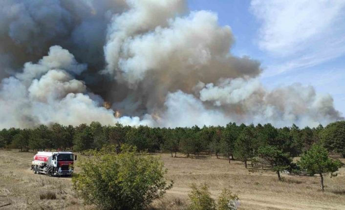Tekirdağ’da orman yangını