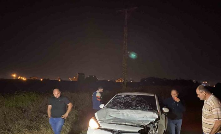 Tekirdağ’da yürek burkan olay: Otomobilin çarptığı yaralı inek, çoban kaçınca sahipsiz kaldı