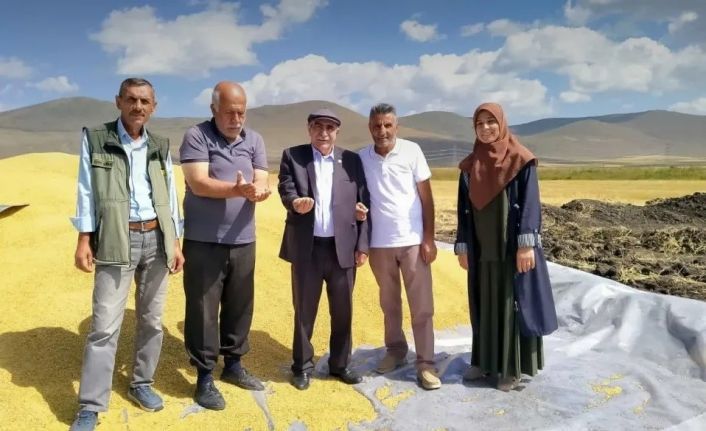 TMO Ardahan’da ilk kez hububat alıma başladı