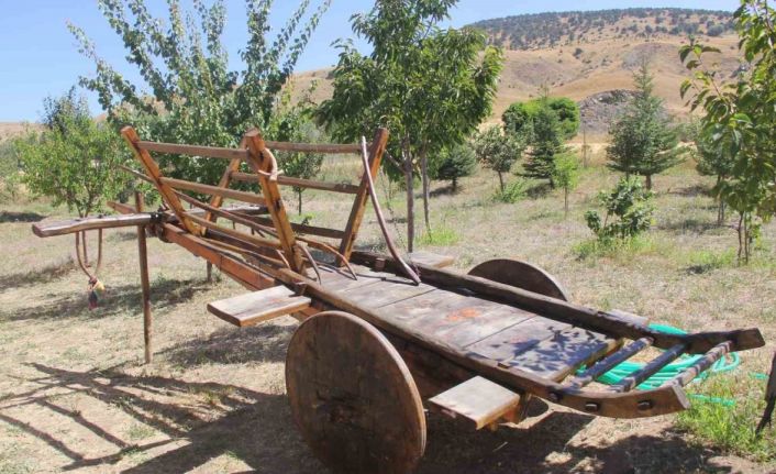 Unutulmaya yüz tutan kağnı arabası dekor oldu