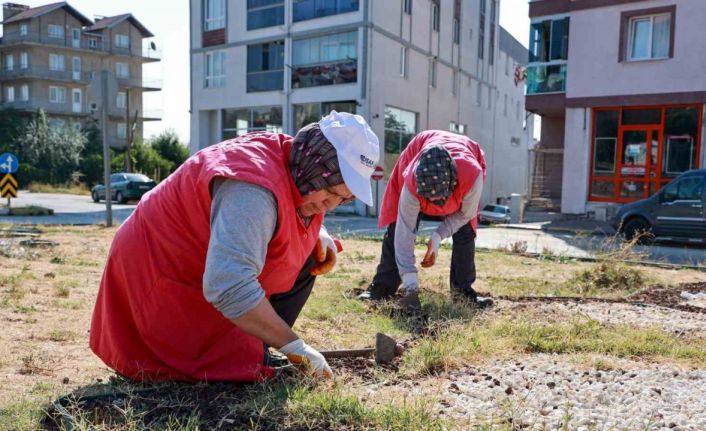 Uşak Belediyesi çevre düzenlenme çalışmaları devam ediyor
