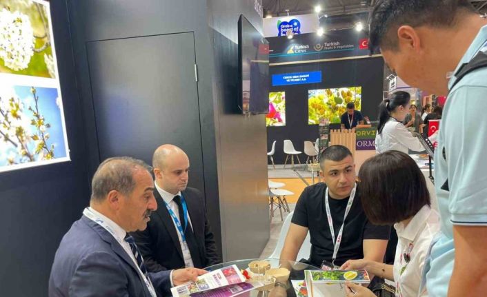 Yaş meyve sebze sektörü, Uzakdoğu ve Güneydoğu Asya pazarında büyümek istiyor