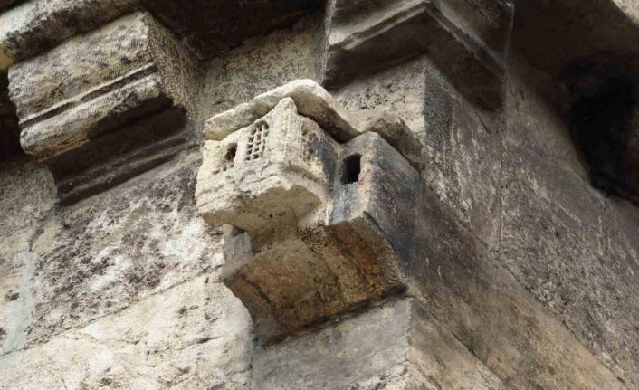 Zamana meydan okuyor, ecdadın hayvan sevgisini gözler önüne seriyor