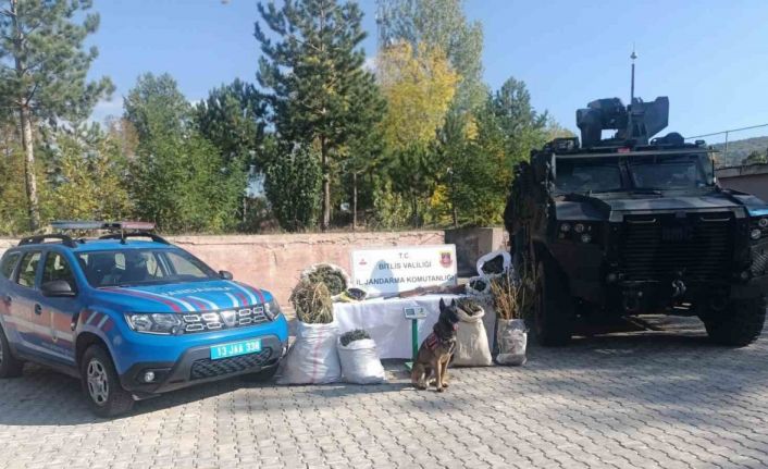 Bitlis’te 28 kilo 560 gram kubar esrar ve 2 kilo 380 gram esrar tohumu ele geçirildi
