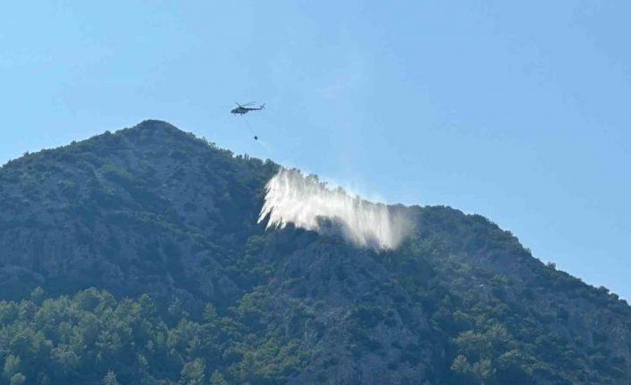 Yıldırım düşmesi sonucu çıkan yangın havadan yapılan müdahaleyle söndürüldü