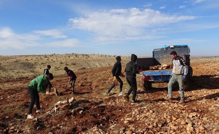 Mega kent İstanbul’u bırakan çiftçi, Mardin’de gül ve lavanta ekimi yapıyor