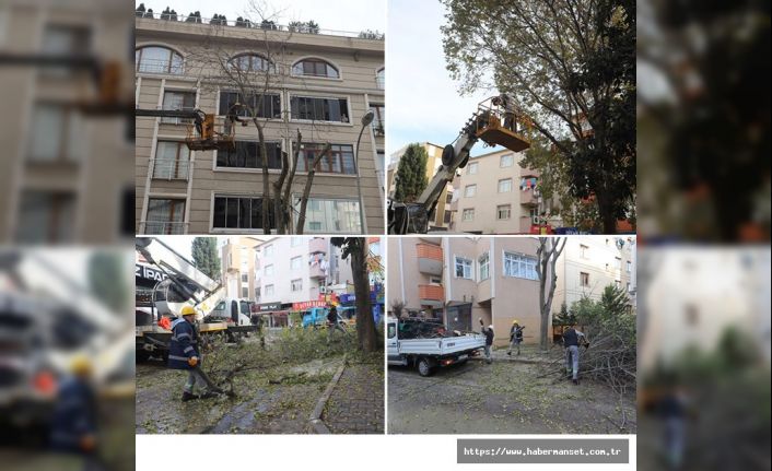 KARTAL’DA AĞAÇ BUDAMA ÇALIŞMALARI DEVAM EDİYOR