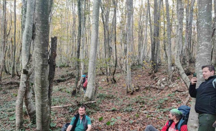 Kastamonu’nun saklı kalan doğal güzelliklerini korumak için geniş kapsamlı çalışma