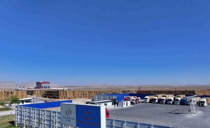 Oltan Köleoğlu Enerji’ye BES dalında brincilik ödülü