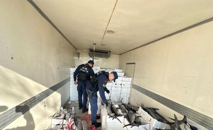 Sahil Güvenlik operasyonunda avlanması yasak mavi yüzgeçli orkinos balığı yakalandı