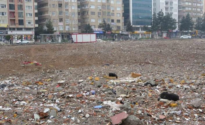 89 kişiye mezar olan Galeria Sitesi alanı sokak köpeklerinin mekanı haline geldi