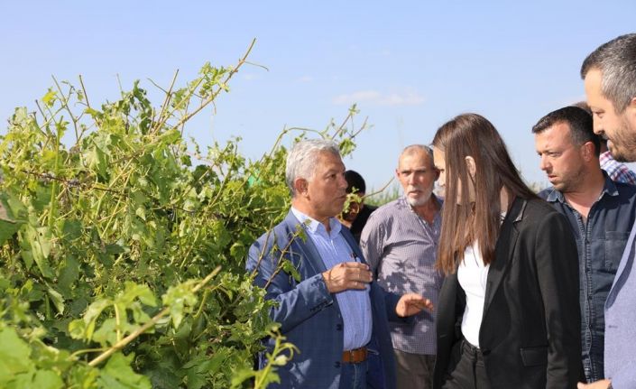 Başkan Durbay dolunun zarar verdiği alanları inceledi