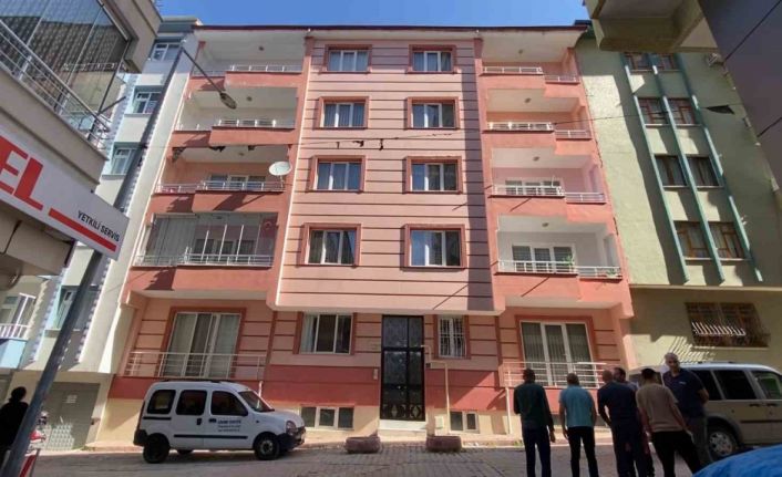 Elazığ’da 4. kattan park halindeki otomobilin üzerine düşen kadın hayatını kaybetti