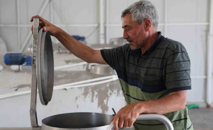 Günlük 40 ton süt toplanan merkez, bin 200 aileye ekmek kapısı oldu