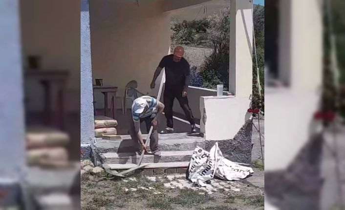 Havalar ısındı, yılanlar evlere girmeye başladı