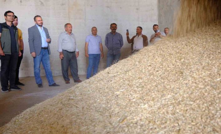 Mardin’de 2024 sezonunun ilk arpa hasadı yapıldı