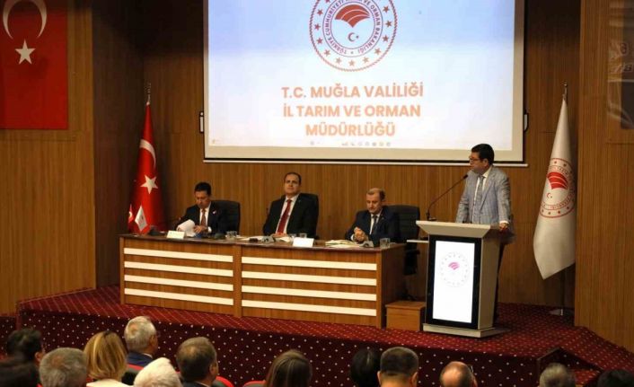 Muğla’nın ‘Su’yu masaya yatırıldı