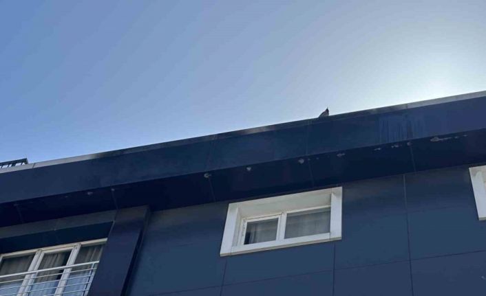 Şişli’de hareketli anlar kamerada: Daireyi boşaltmayan adam binayı ateşe verdi