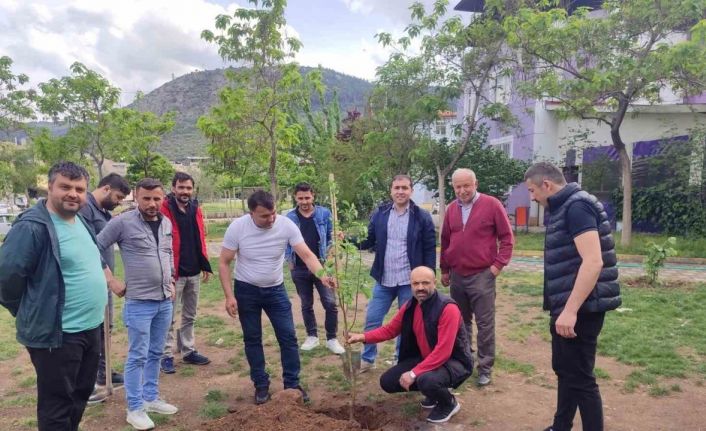 Soma’da yaşayan Ordulular hayatını kaybeden madenciler anısına fidan dikti
