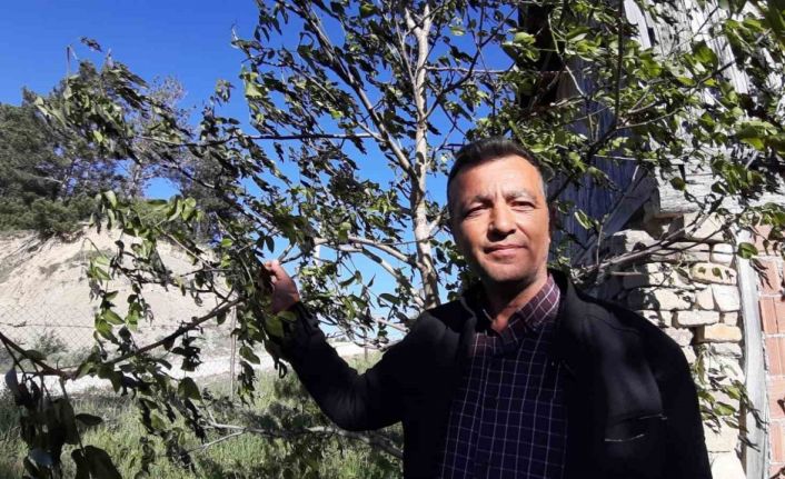 Türkiye’nin en soğuk ili olan Bolu’da ürünler soğuktan yandı